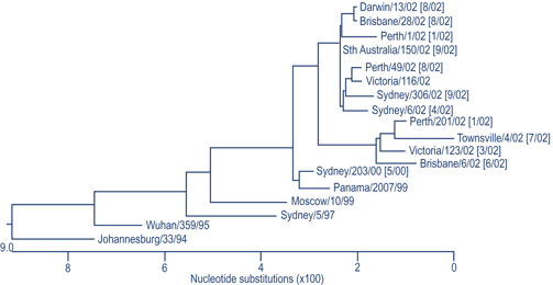 Figure 6. Evolutionary relationships between influenza H3 haemagglutinins (HA1 region)