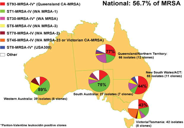 Proportion of community associated methicillin-resistant Staphylococcus aureus clones, by region