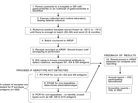 Flow chart of the system used by the Australian Rotavirus Surveillance Program to serotype rotavirus isolates and report on results