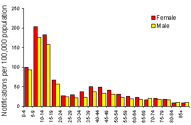 Figure 19. Notification rate of pertussis, 1997, by age group and sex