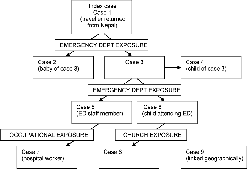 Figure 1.  Transmission of measles between cases