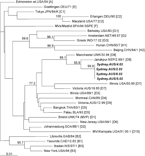 Figure 2.  Phylogenetic relationship based on the carboxy terminal end of the N gene (456nt) of the four Sydney isolates to recent isolates