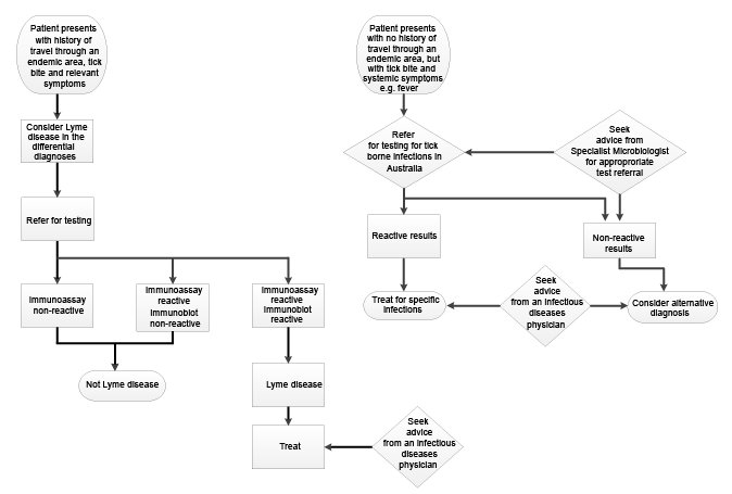 flow chart. text description follows