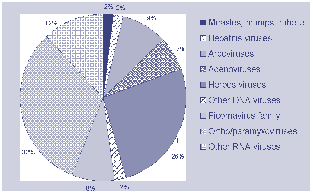 Figure 46. LabVISE reports, 1999