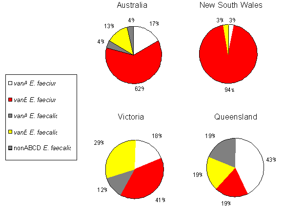 Figure 2. Prevalence of different VRE genotypes in Australia and different states