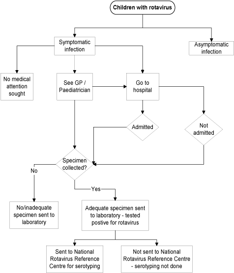 Figure. Diagram of children infected with rotavirus captured by laboratory surveillance