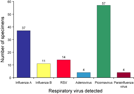 Figure 4. Polymerase chain reaction results of sentinel surveillance of influenza-like illness, 2004