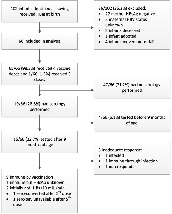 Figure 1 is a flowchart showing how many infants were identified as having received hepatitis B immunoglobulin at birth, and how many went on to receive the recommended four-dose hepatitis B vaccination schedule and follow-up serology.  Vaccination was co