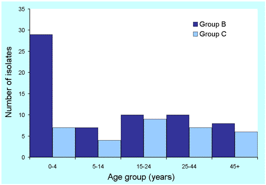 Figure 3. Number of serogroup B and C isolates, New South Wales, 2001, by age