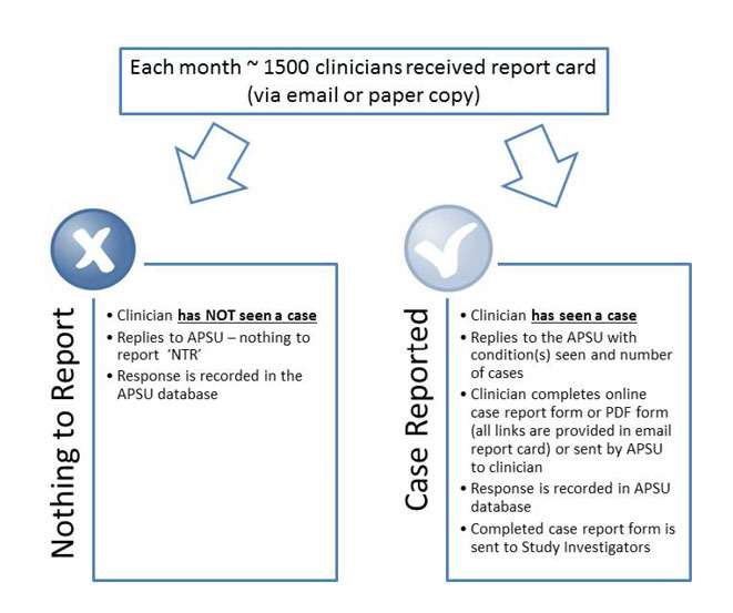 Figure 2 is a schematic showing APSU methodology for returning the report card whether or not the paediatrician has seen a relevant case or not, and the process of data collection via an on-line or paper form.  