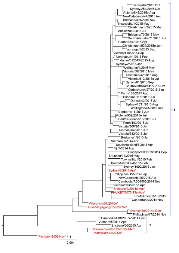 Phylogenetic tree. Text description follows.