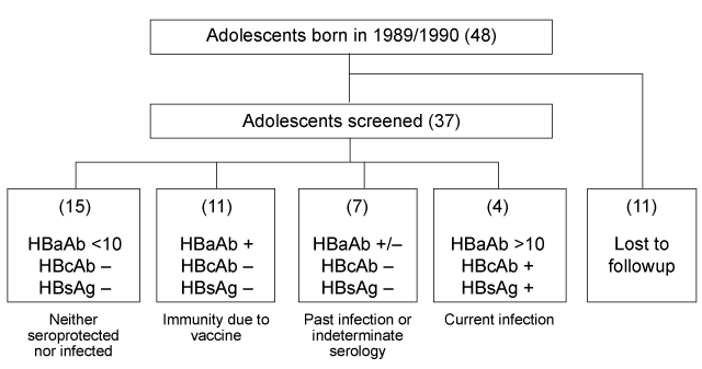 Figure:  Flow chart showing results of screening survey