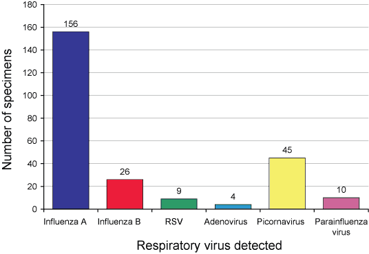 Figure 4. Respiratory viruses detected from sentinel patients with influenza-like illness, Victoria, 2005