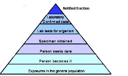 Figure 1. The communicable disease surveillance pyramid
