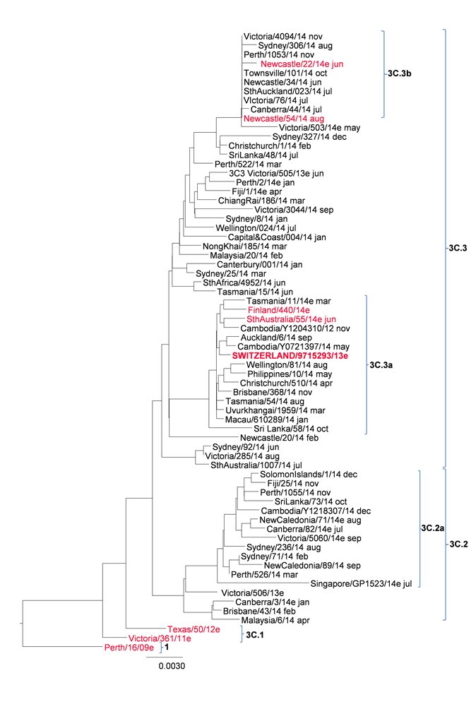 Phylogenetic tree. Text description follows.