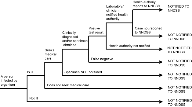 Figure 1. Communicable diseases notification fraction