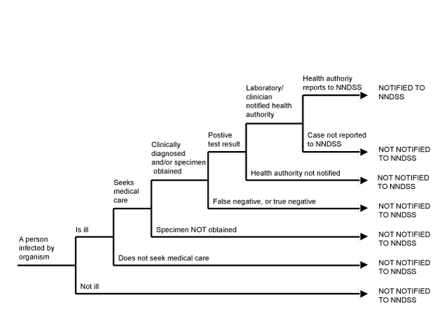 Figure 1. Communicable diseases notifiable fraction