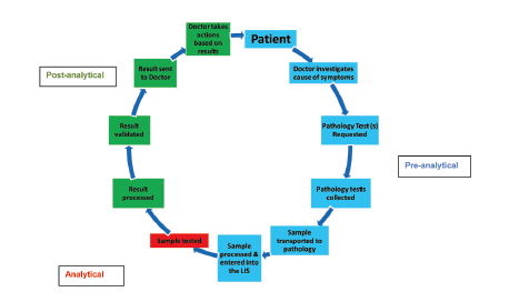 Request-test-report cycle