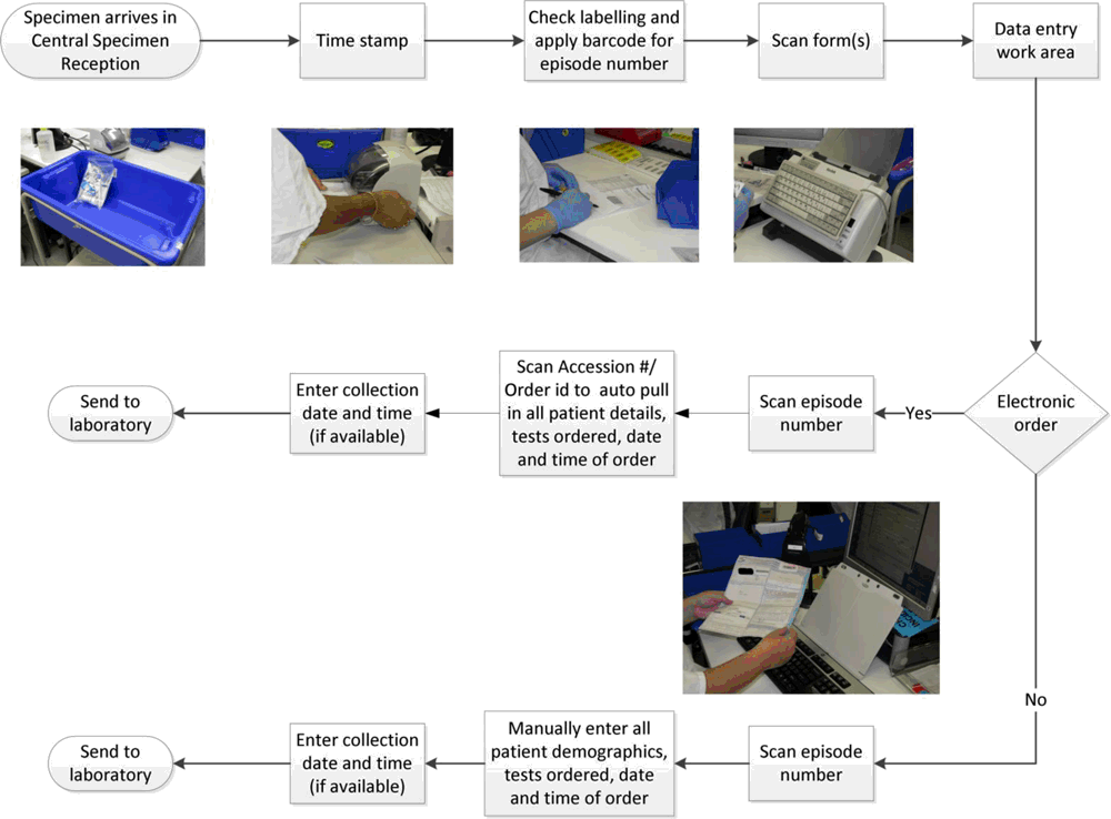 Figure 1. Flow diagram forhow specimens and test order forms are processed within Central Specimen Reception